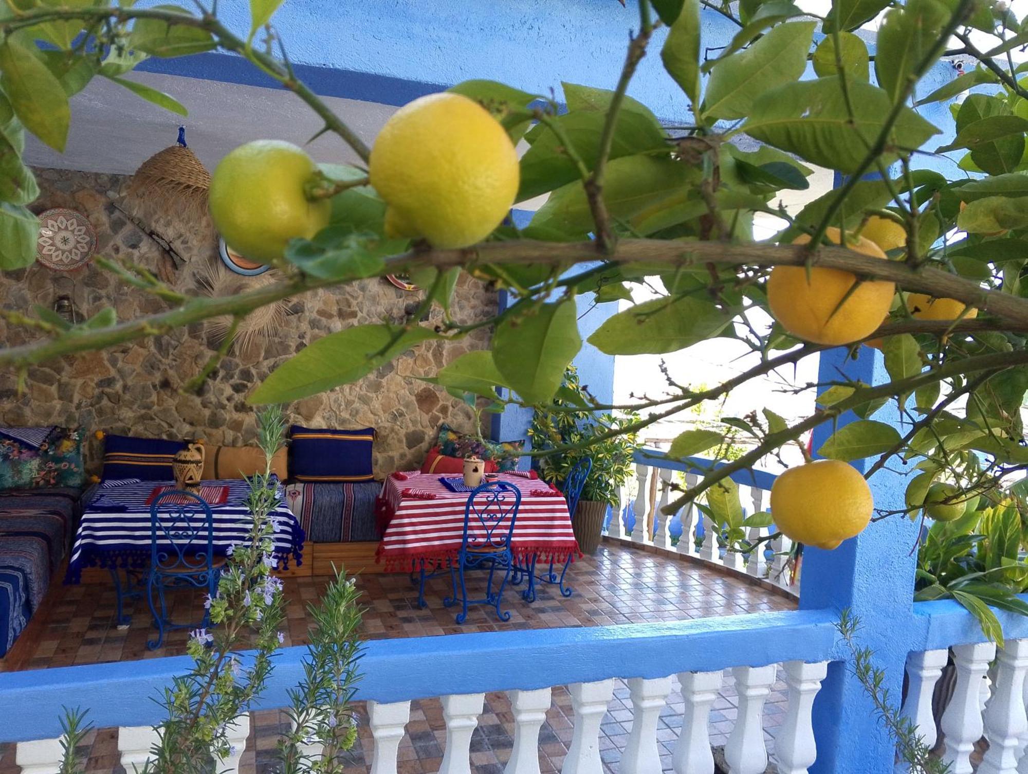 Blue House Town