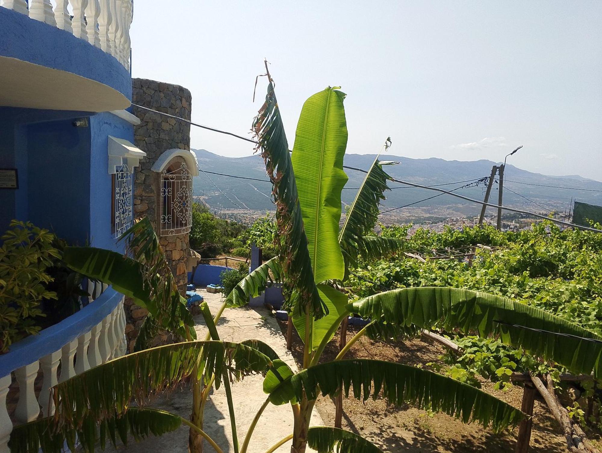 Blue House Town